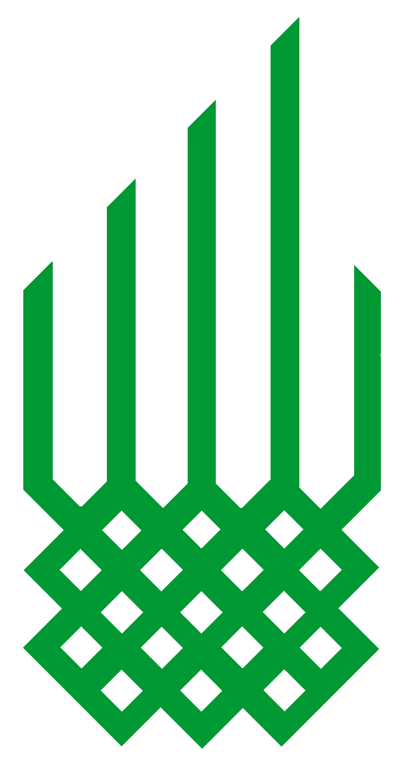 Aga Khan Foundation Logo