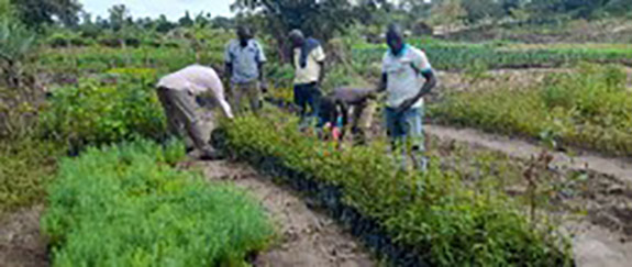 Emergency Relief Efforts